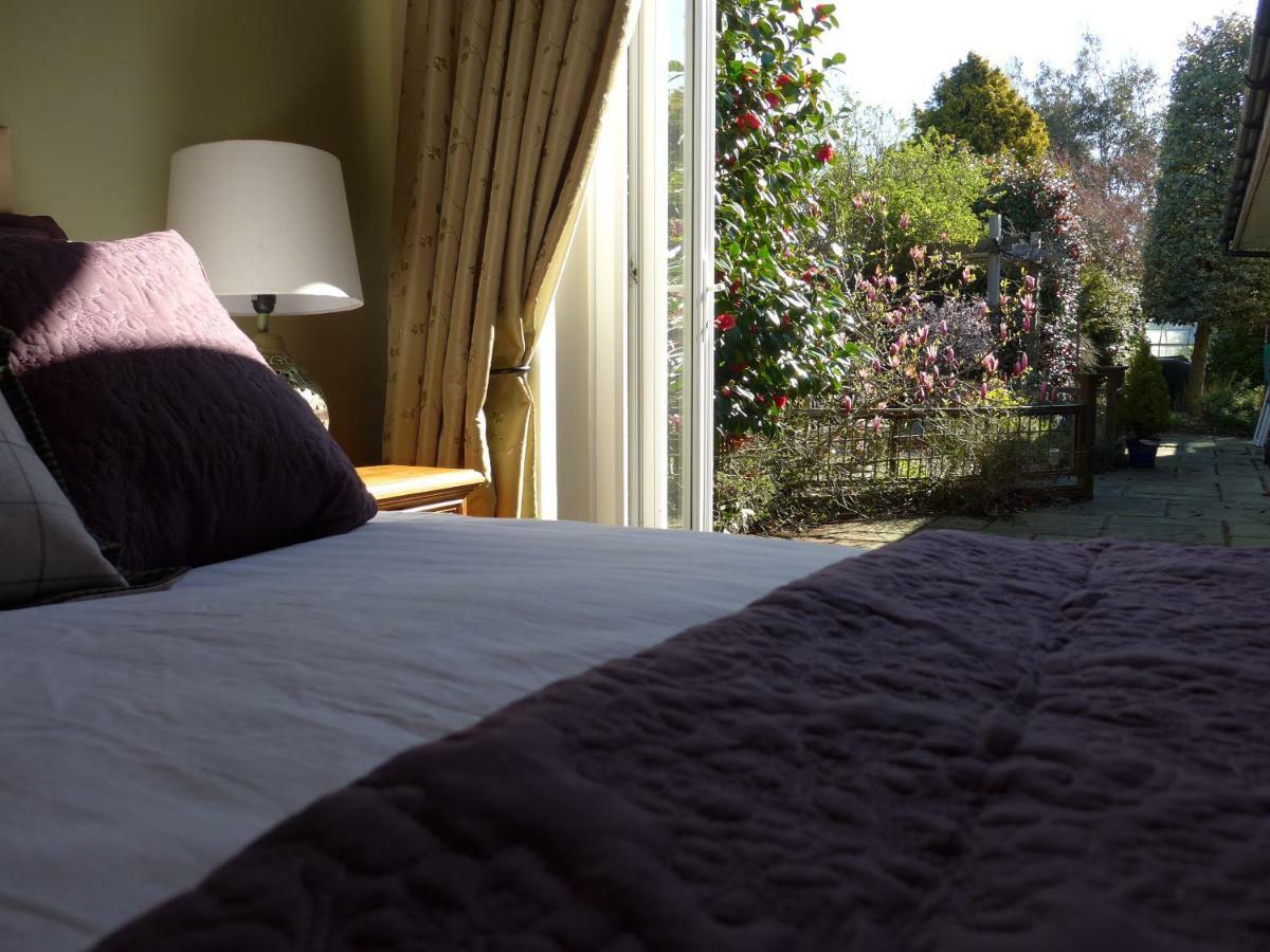 The Olive Tree Bed and Breakfast Gosport Esterno foto